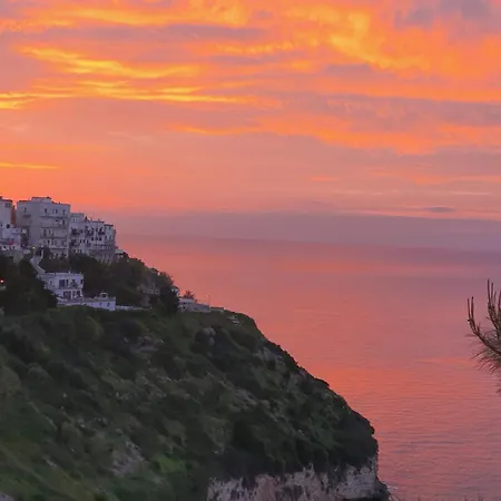 Apartamento Bilocale Biscotti-9 *